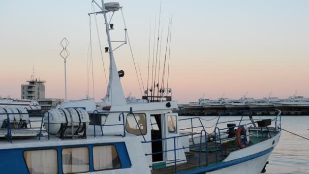 Mar Barcos Gaviotas Disparos Por Noche — Vídeo de stock