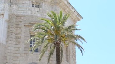 Neoklasik tarzın harika katedrali. Cadiz şehri, İspanya, Endülüs.