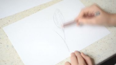 Çizim. Çizim süreci çekiliyor.