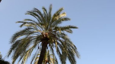 Barcelona Ciudadela Parkı. İspanya 'da çekim.