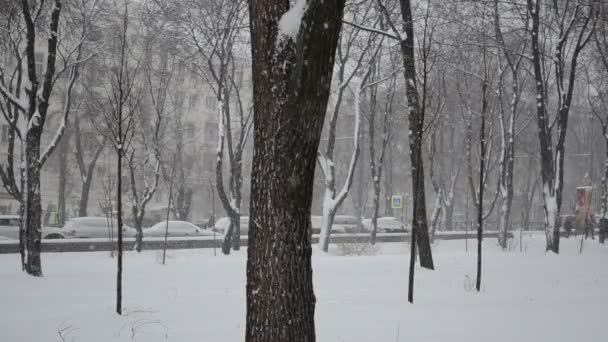 Winter Und Schneesturm Der Stadt — Stockvideo