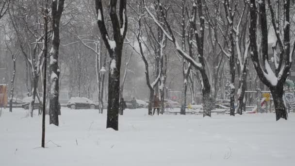 Inverno Tempestade Neve Cidade — Vídeo de Stock