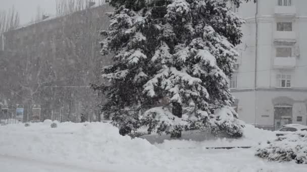 Winter Und Schneesturm Der Stadt — Stockvideo