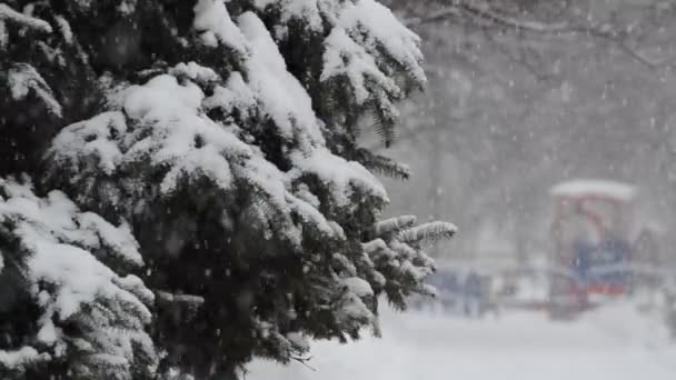 城市里的冬季和暴风雪 — 图库视频影像