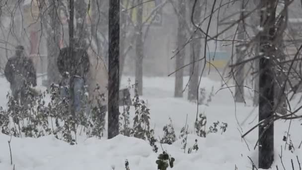 Hiver Tempête Neige Dans Ville — Video