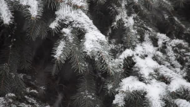 Winter Und Schneesturm Der Stadt — Stockvideo