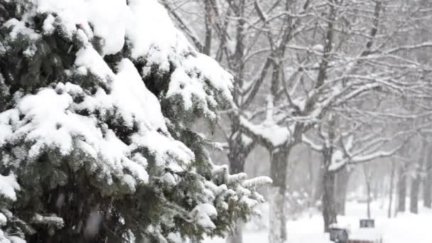 街の冬と吹雪 — ストック動画
