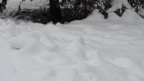 Vinter Och Snöstorm Staden — Stockvideo