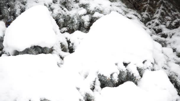 Зима Снігова Буря Місті — стокове відео