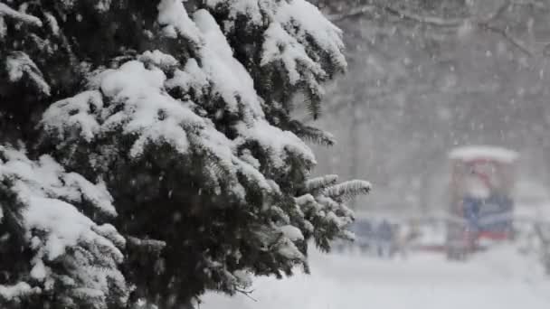 Winter Und Schneesturm Der Stadt — Stockvideo