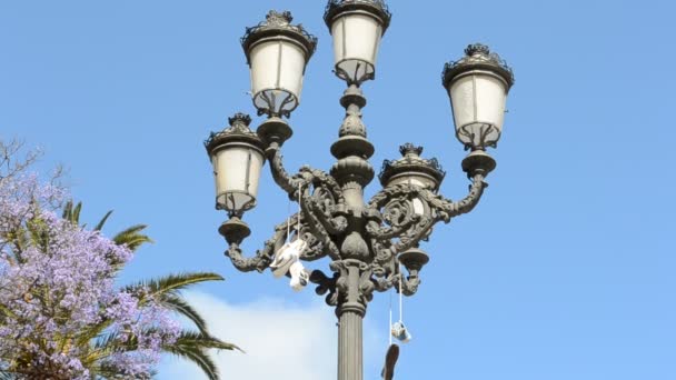 Sapatilhas Penduram Uma Lâmpada Cidade Cádiz Espanha Andaluzia Alguém Atirou — Vídeo de Stock