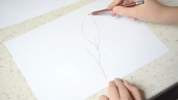 Disegno Scattare Processo Disegno — Video Stock