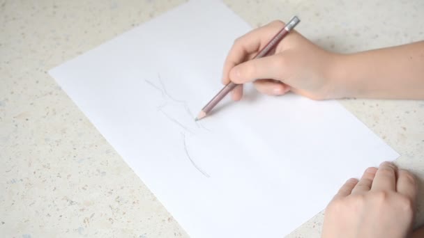 Desenho Fotografar Processo Desenho — Vídeo de Stock