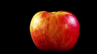 Siyah arka planda elma. Siyah bir arkaplanda çekim yapmak.