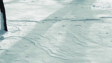 Kış günü. Parkta çekim. Kışın çekim..