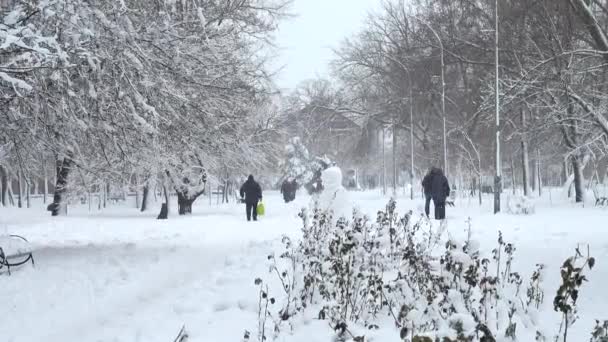 Día Invierno Disparos Parque Disparos Invierno — Vídeos de Stock