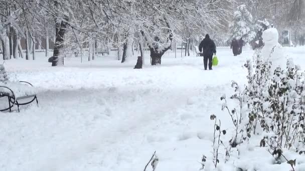 Téli Nap Lövöldözés Parkban Fényképezés Télen — Stock videók