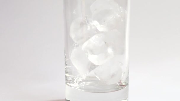 Préparation de boissons aux fruits et baies .