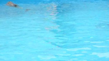 Delphinarium 'daki bir gösteride eğitmen ve yunuslar.