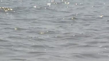 Deniz. Yazın çekim..