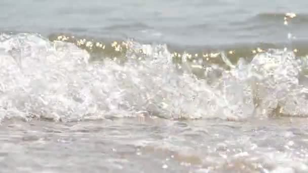 Море Зйомки Влітку — стокове відео
