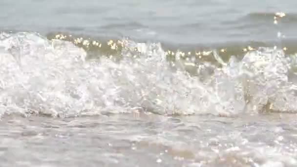 la mer. Tournage en été .