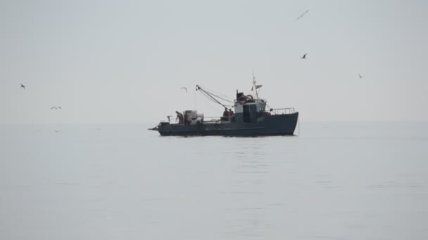 Barco Pesquero Tiro Verano — Vídeos de Stock