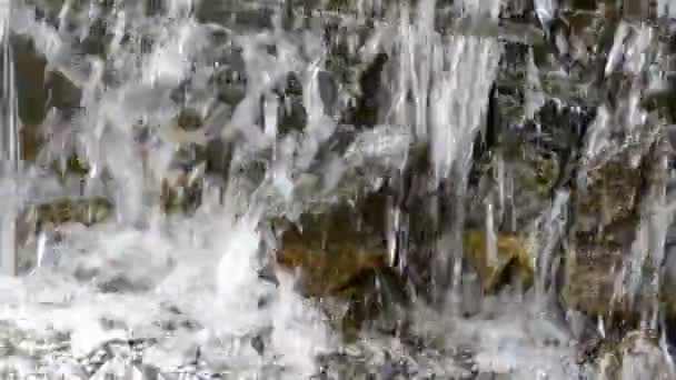 Каскад Воды Симметрии Парке — стоковое видео