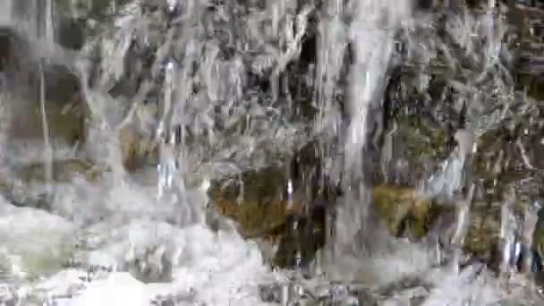 Symmetrie Waterval Het Park — Stockvideo