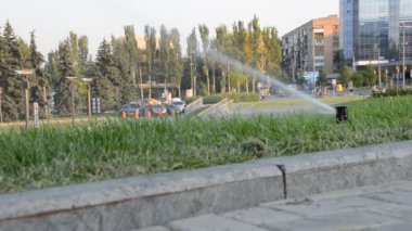 Çim sulama. Yazın çekim..