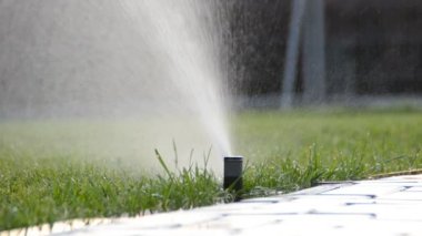 Çim sulama. Doğanın çekim gücü.