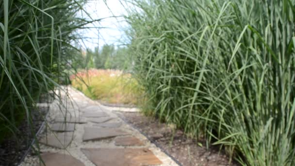 Stone walkway winding in garden — Stock Footage Stone Walkway Winding Garden Royalty Free Stock Video