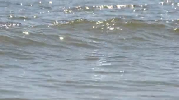 Море Стрельба Летом — стоковое видео