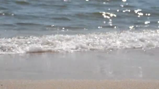 Θάλασσα Πυροβολισμοί Καλοκαίρι — Αρχείο Βίντεο