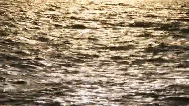 Море Зйомки Влітку — стокове відео