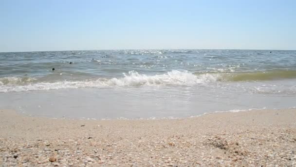 Mare Sparatoria Della Natura — Video Stock