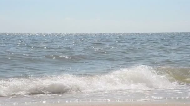 Havet Fotografering Naturen — Stockvideo