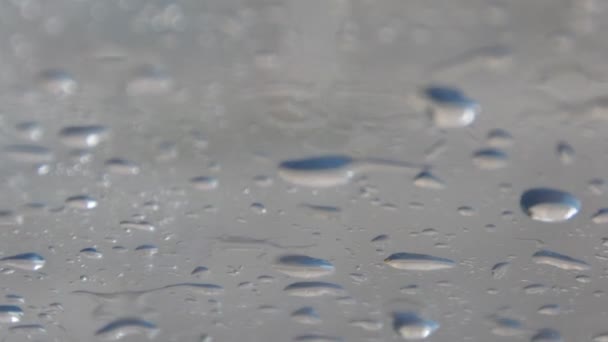 Σταγόνες Βροχής Στο Παρμπρίζ — Αρχείο Βίντεο