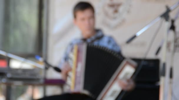 Rock Ein Konzert Gitarrist Spielt Internationales Festival Der Schmiedekunst Park — Stockvideo