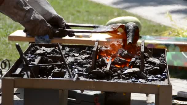 Uluslararası Demirhane Sanatları Festivali Park Forge Figures 2011 — Stok video