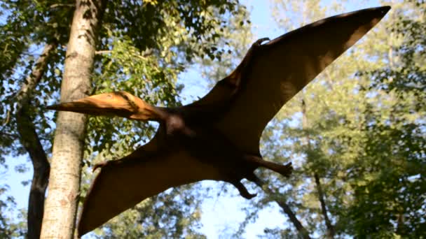 Utställning Dinosaurier Fotografering Sommaren — Stockvideo