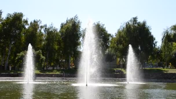 Fuente Disparando Fuente — Vídeos de Stock