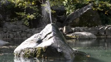 Göl ve çeşme. Doğanın çekim gücü.