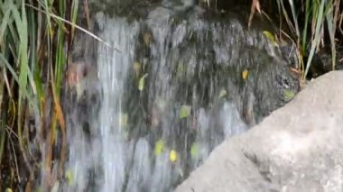 Düşüyor. Doğanın çekim gücü.