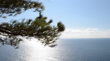 Deniz. Doğanın çekim gücü.