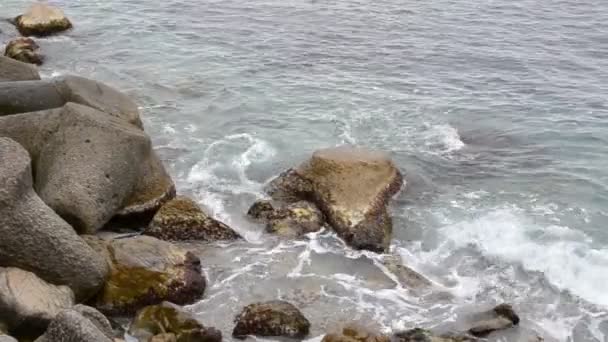 Zee Schieten Van Natuur — Stockvideo