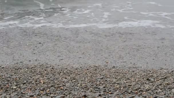 Mare Sparatoria Della Natura — Video Stock