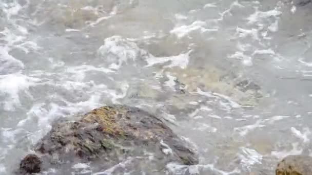 la mer. Tournage de la nature .