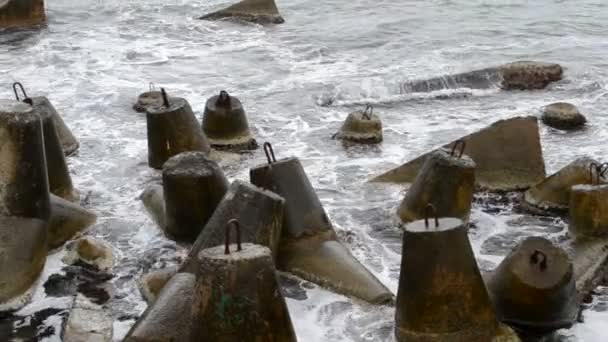 Море Зйомки Природи — стокове відео