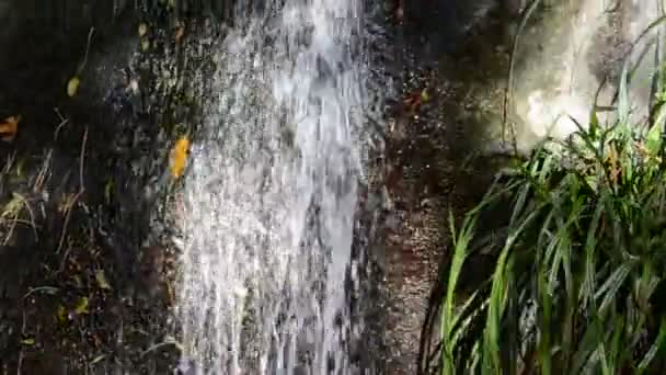 Falls Shooting Nature — Stock Video